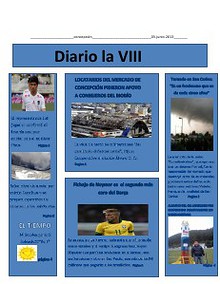 Diario VIII