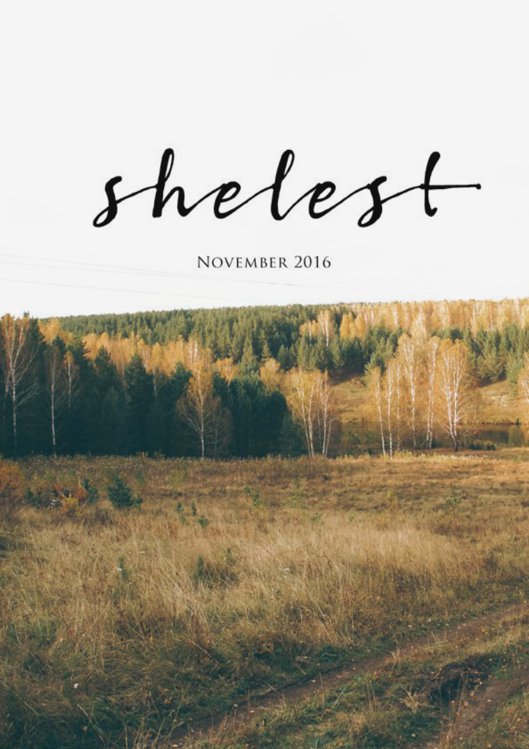 SHELEST November 2016