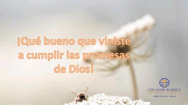 Tutorial Bíblico ¡Qué bueno que viniste a cumplir promesas de Dios!