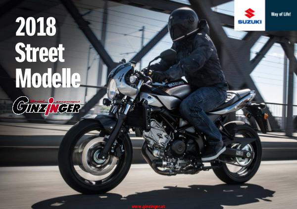 Suzuki Kataloge Suzuki Street 2018