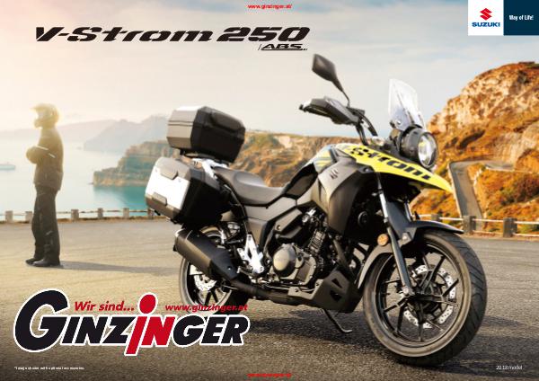 Suzuki Adventure V-Strom 250