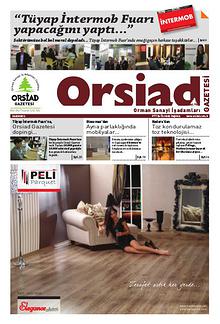 Orsiad Gazetesi