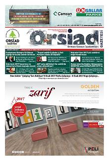 Orsiad Gazetesi