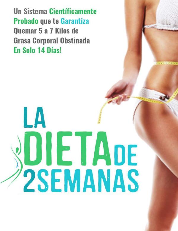 LA DIETA DE 2 SEMANAS BRIAN FLATT PDF 2021