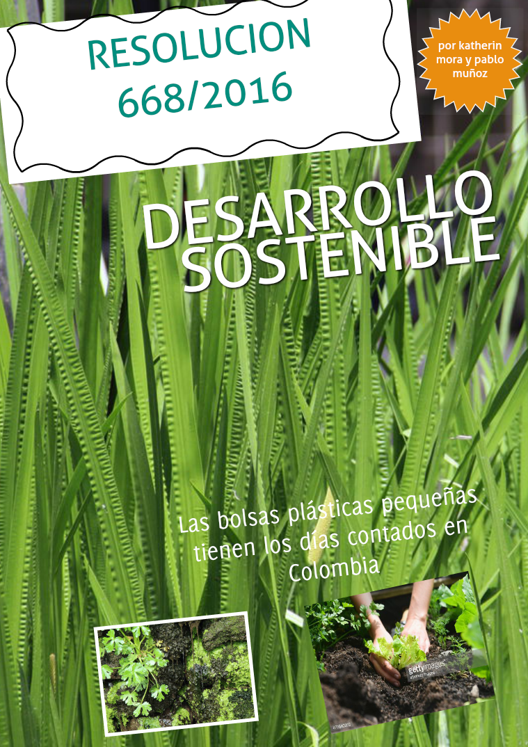 DESARROLLO SOSTENIBLE 1