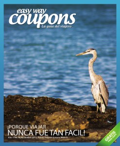 Easy Way Coupons Noviembre 2012