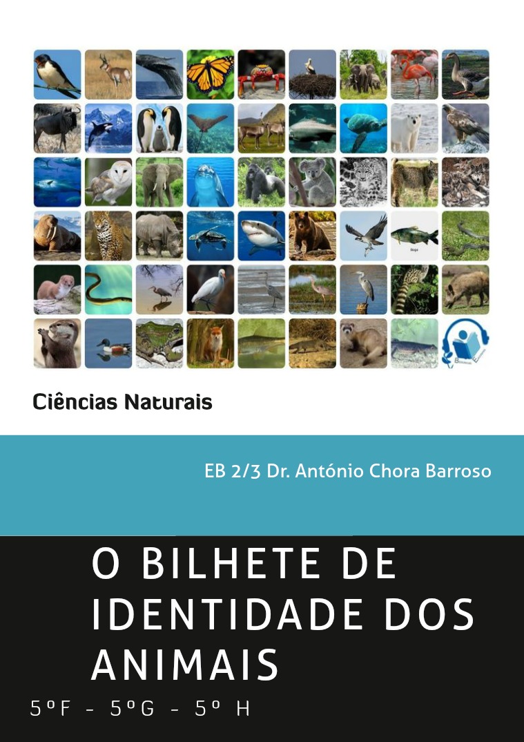 Bilhete de Identidade dos animais Bilhete de Identidade dos Animais