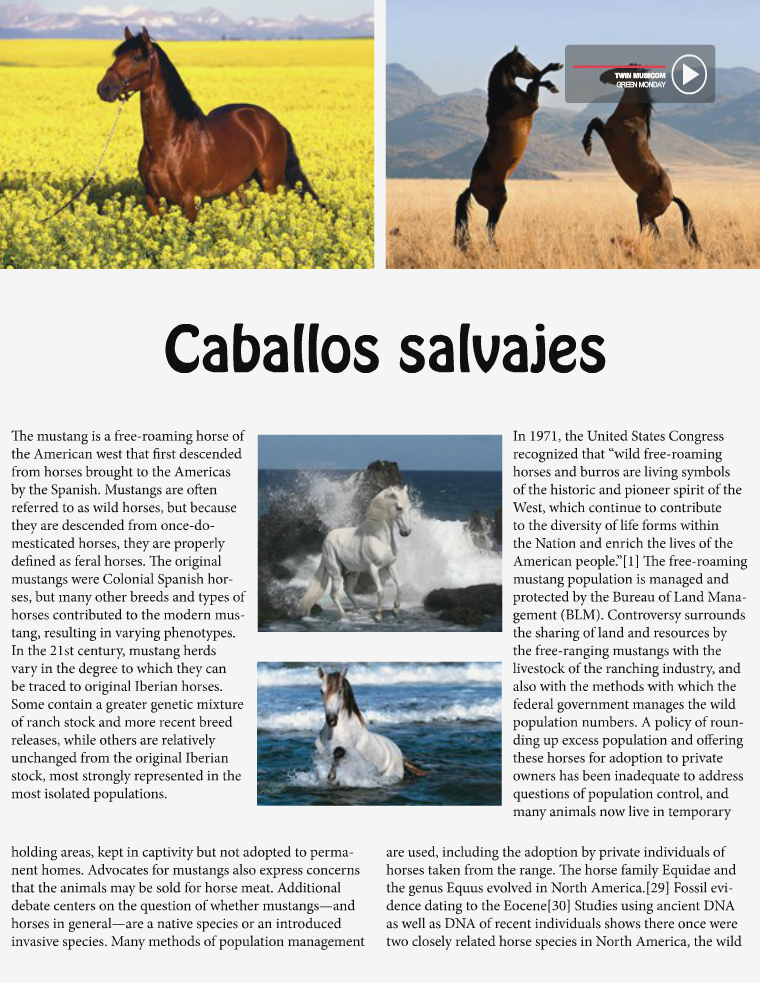 Caballos 1