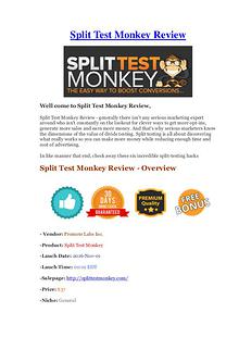 Split Test Monkey Review - Low Cost & Huge Bonus