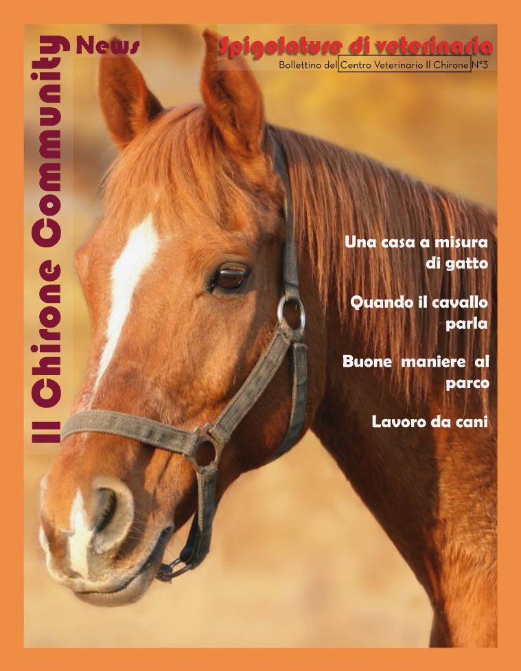 Il Chirone Community News 3° Bollettino