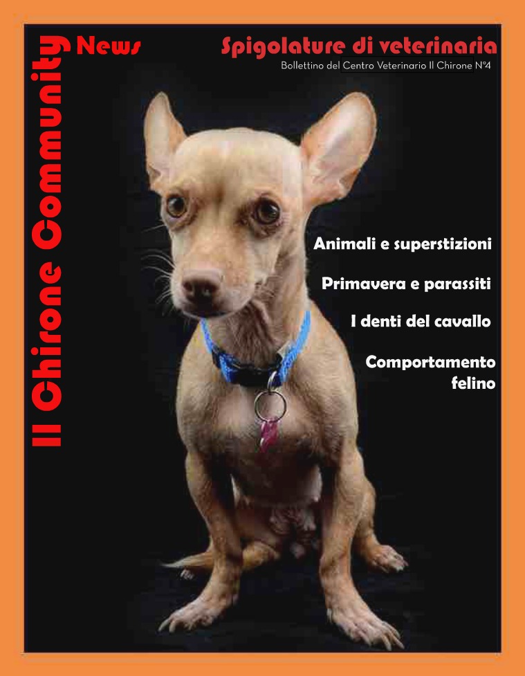 Il Chirone Community News Bollettino 4