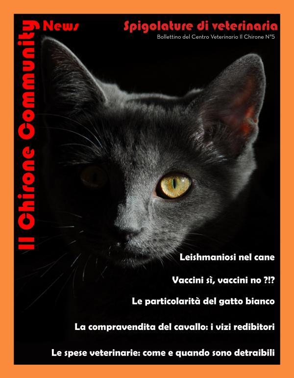 Il Chirone Community News Bollettino 5