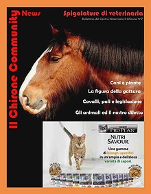 Il Chirone Community News