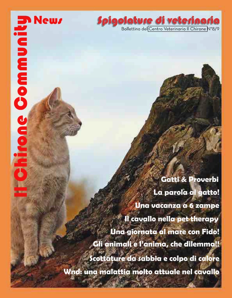 Il Chirone Community News Bollettino 8&9: NUMERO DOPPIO