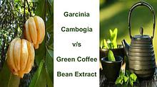 Garcinia  Cambogia  v/s  Green Coffee  Bean Extract