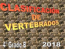 Vertebrados 4° grado B 2018