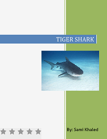 Tiger shark