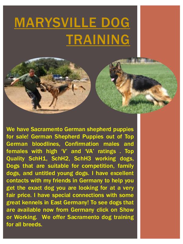 Marysville German Shepherd Breeder Marysville German Shepherd Breeder