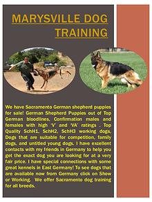 Marysville German Shepherd Breeder