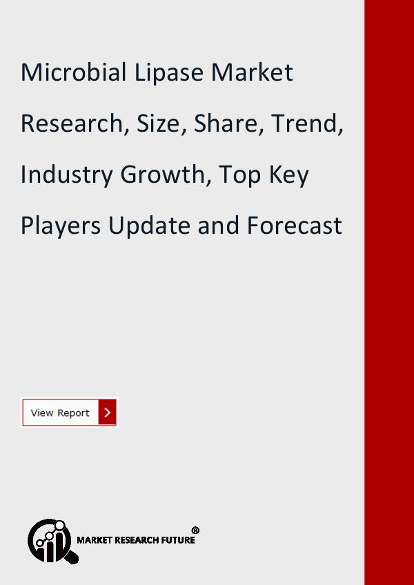 Microbial Lipase Market Research Report by Size