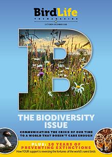 BirdLife: The Magazine