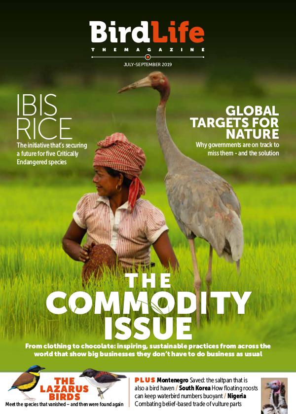 BirdLife: The Magazine July - Sept 2019