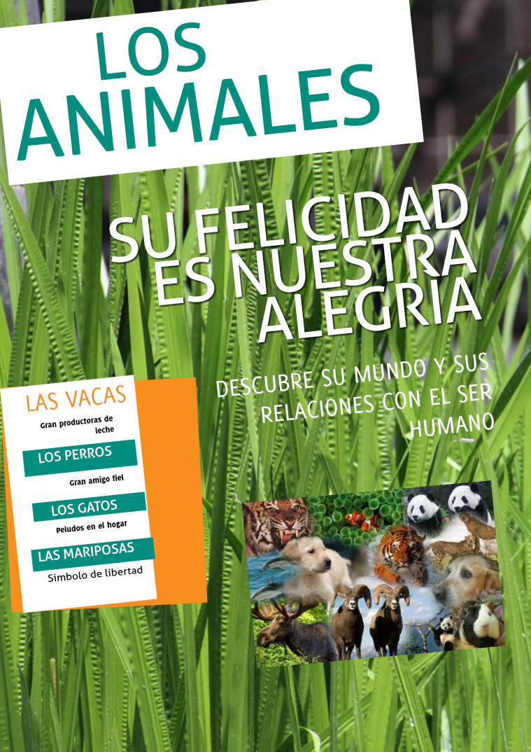 Los animales 5