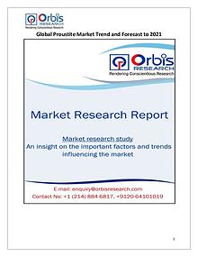 Research Report: