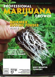 Professional Marijuana Grower