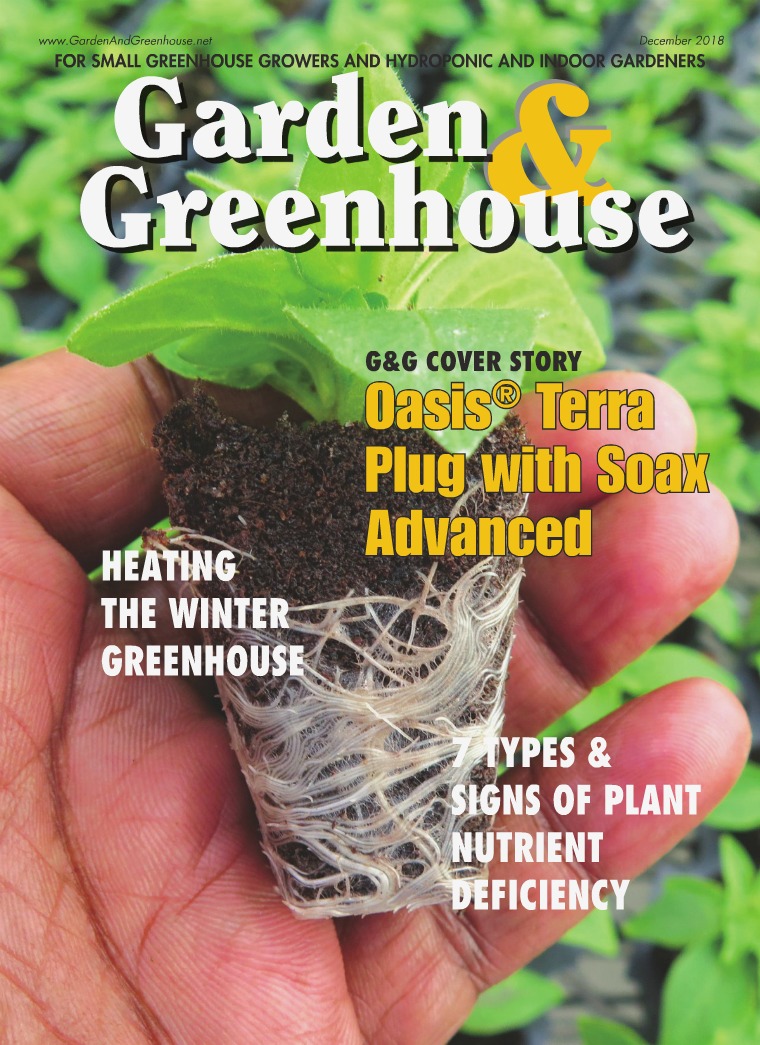 December 2018 Issue