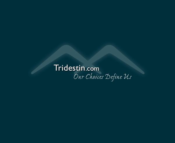 Tridestin Development Book