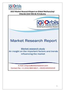 Global Methacryloyl Chloride Industry Overview