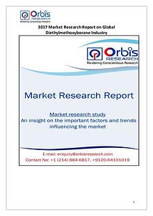 Global Diethylmethoxyborane Industry Overview