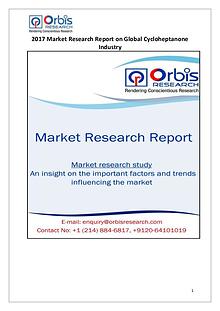 Global Cycloheptanone Industry Overview