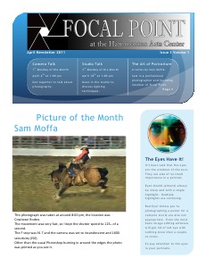 Focal Point April 2011