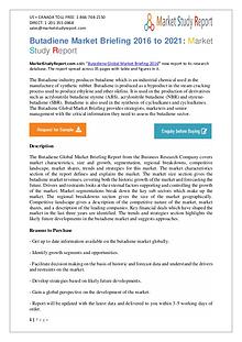 Butadiene Industry Key Companies Analysis 2016 To 2019