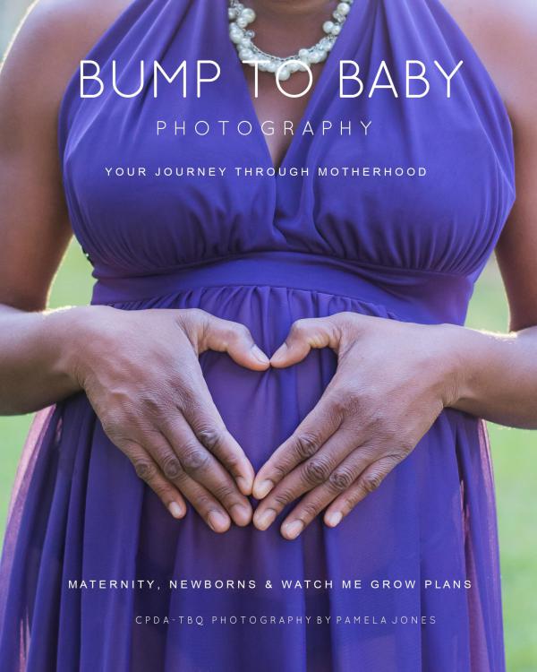 Bump to Baby Volume 1