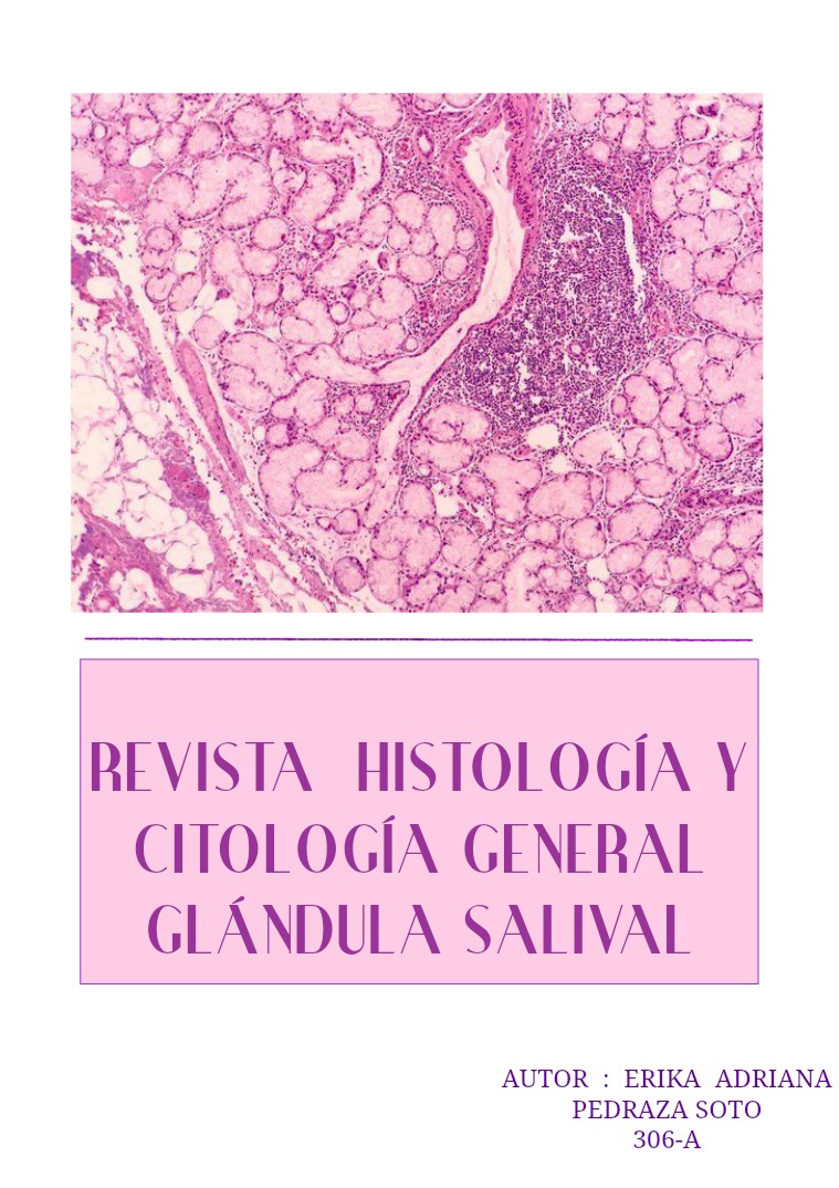 R. HISTOLOGÍA Y CITOLOGÍA GENERAL 1