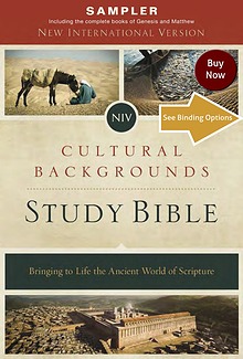 NIV, Cultural Backgrounds Study Bible