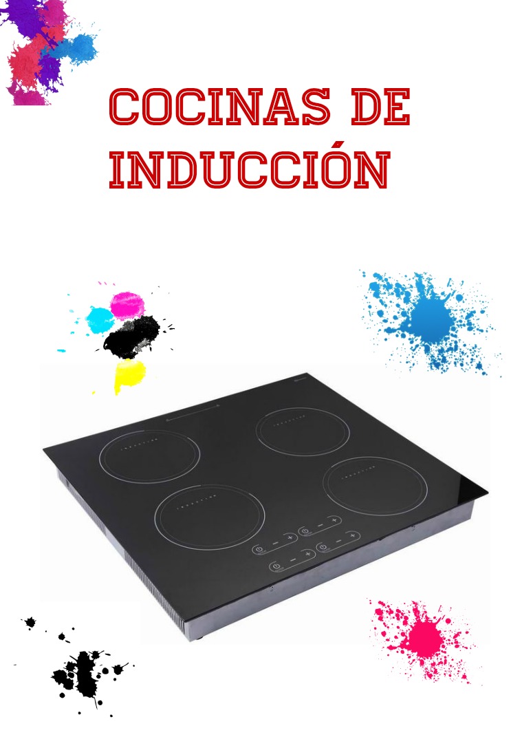 Induccion 1