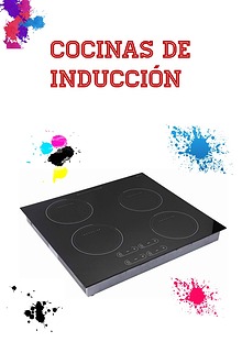 Induccion