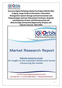 Market Research Reports