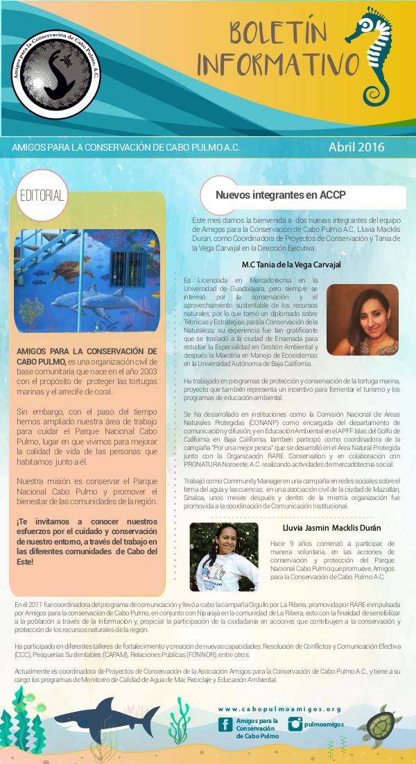 Boletín Informativo ACCP 1