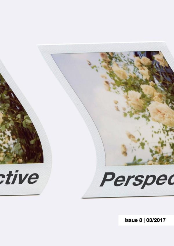 PERSPECTIVE MAGAZINE ISSUE #2