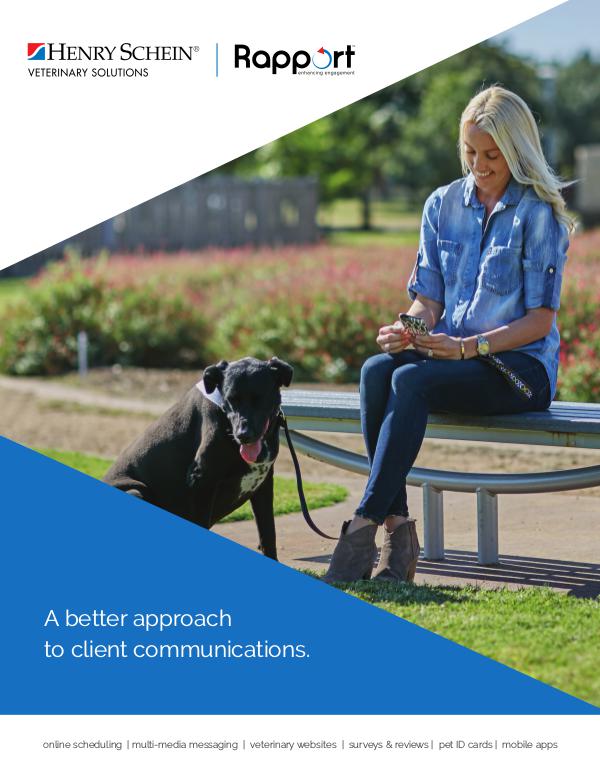 Rapport Brochure - Volume 1