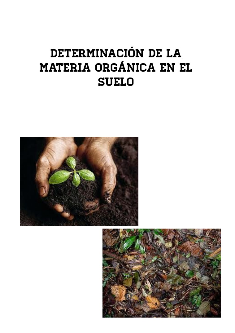 Determinación de Materia Orgánica en el Suelos 1