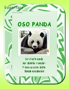 Oso Panda