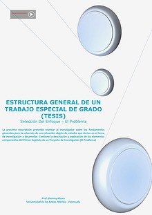 Trabajo Especial De Grado (Tesis). Selección Del Tema. El Problema