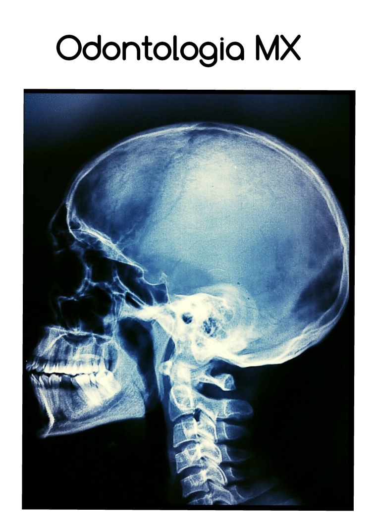 Odontología MX 1