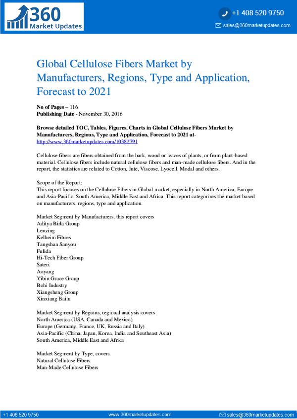 Cellulose Fibers Market Growth Analysis